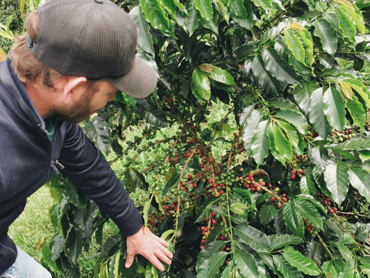 Colombia Sebastian Ramirez - Cinnamon Co-Fermentation