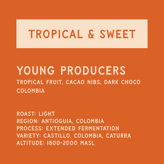 Colombia Young Producers Development