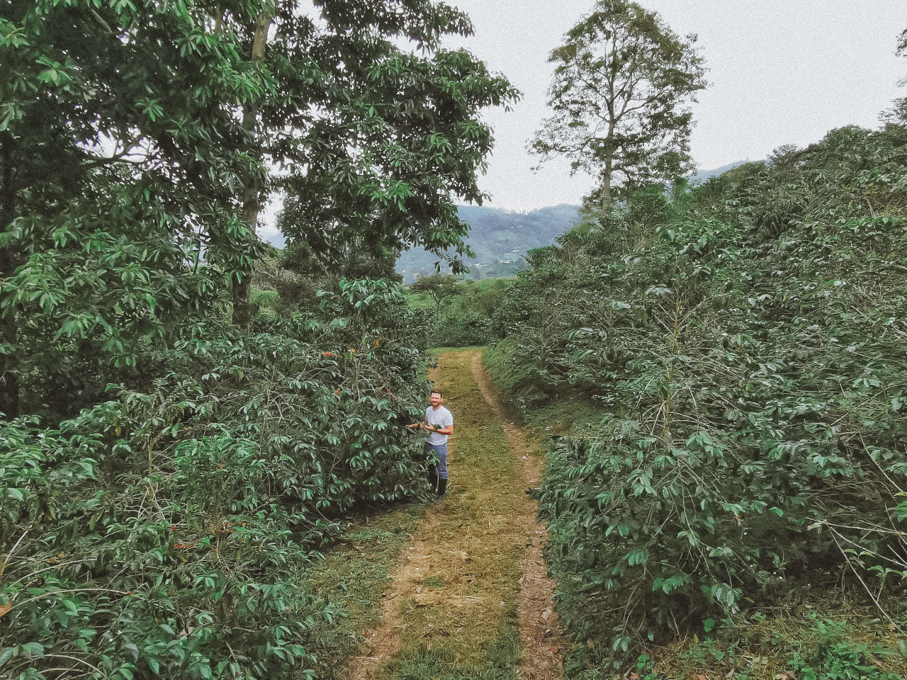 Colombia Sebastian Ramirez - Cinnamon Co-Fermentation