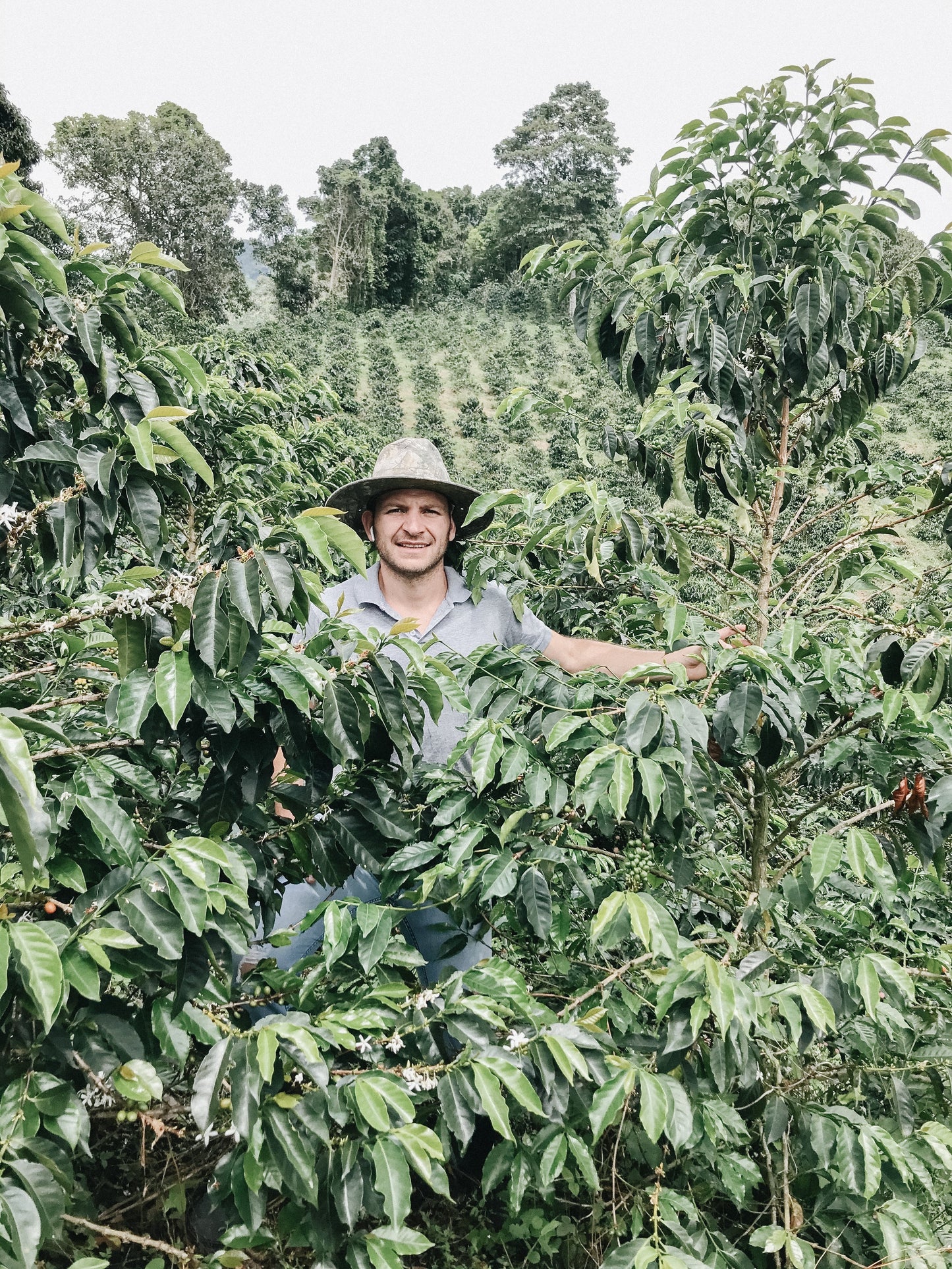 Colombia Sebastian Ramirez - Cinnamon Co-Fermentation