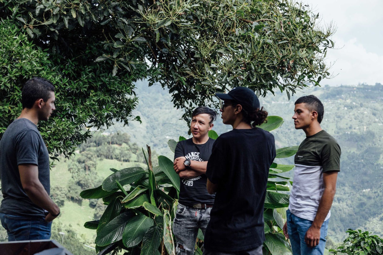 Colombia Sonsón Youth Collab - Community Blend of Black Honey and Washed Lots